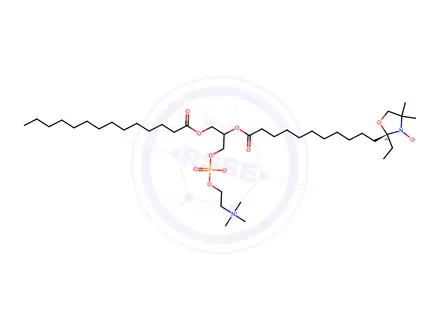 Chemical structure of 1-myristoyl-2-(11-(4,4-dimethyl-3-oxy-2-ethyl-2-oxazolidinyl)undecanoyl)-sn-glycero-3-phosphocholine