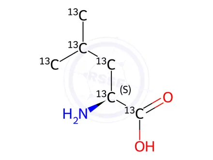 Chemical structure of L-Leucine-13C6