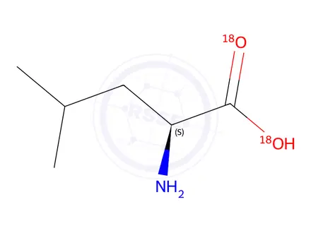Chemical structure of L-Leucine-