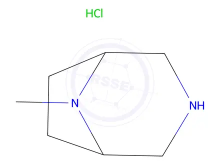 Chemical structure of 8-Methyl-3,8-diazabicyclo[3.2.1]octane hydrochloride