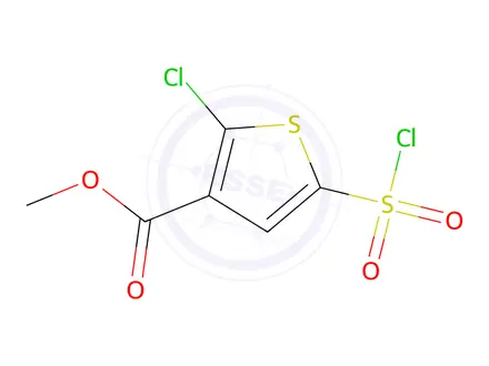 Chemical structure of Methyl 2-chloro-5-(chlorosulfonyl)thiophene-3-carboxylate