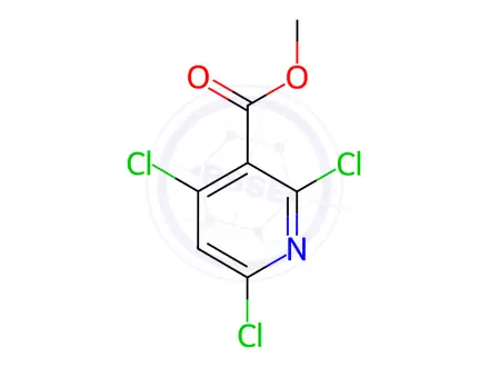 Chemical structure of Methyl 2,4,6-trichloronicotinate