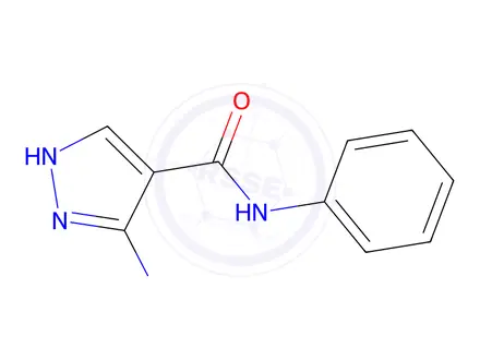 Chemical structure of 5-Amino-N-phenyl-1H-pyrazole-4-carboxamide