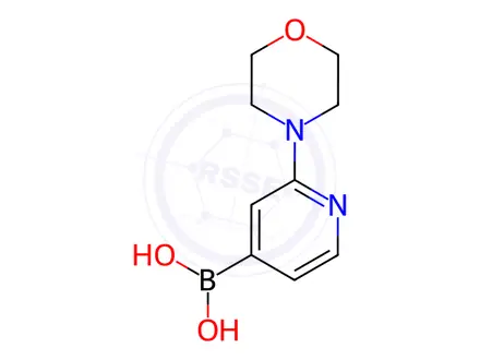 Chemical structure of 2-Morpholinopyridine-4-boronic acid