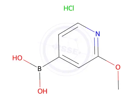 Chemical structure of 2-Methoxypyridine-4-boronic acid hydrochloride