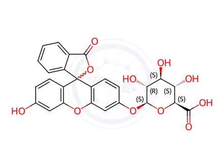 Chemical structure of Fluorescein Glucuronide