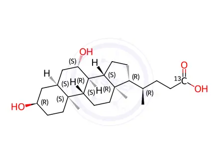 Chemical structure of Ursodeoxycholic Acid-24-13C