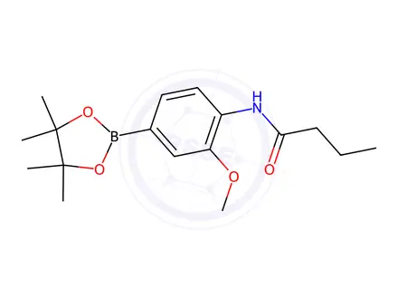 Chemical structure of N-(2-methoxy-4-(4,4,5,5-tetramethyl-1,3,2-dioxaborolan-2-yl)phenyl)butyramide