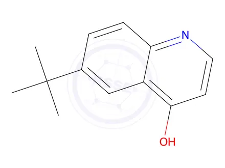 Chemical structure of 6-(tert-butyl)quinolin-4-ol