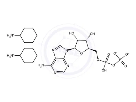 Chemical structure of Adenosine 5'-Diphosphate bis(Cyclohexylammonium) Salt