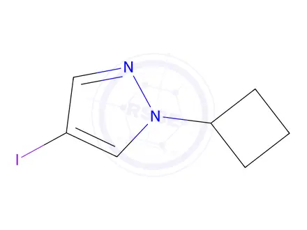 Chemical structure of 1-Cyclobutyl-4-iodopyrazole