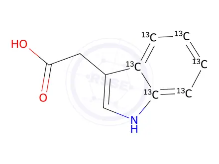 Chemical structure of Cation Exchange Resin 50WX8 50-100 (H)