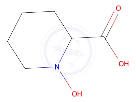 Chemical structure of N-Hydroxypiperidine-2-carboxylic acid
