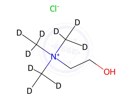 Chemical structure of Choline-d9 Chloride