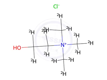 Chemical structure of Choline-d13 Chloride (N,N,N-trimethyl-d9; 1,1,2,2-d4)