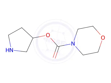 Chemical structure of pyrrolidin-3-yl morpholine-4-carboxylate