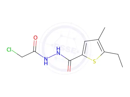 Chemical structure of N'-(2-chloroacetyl)-5-ethyl-4-methylthiophene-2-carbohydrazide