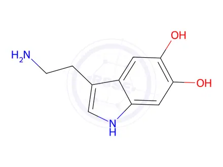 Chemical structure of 5,6-Dihydroxytryptamine