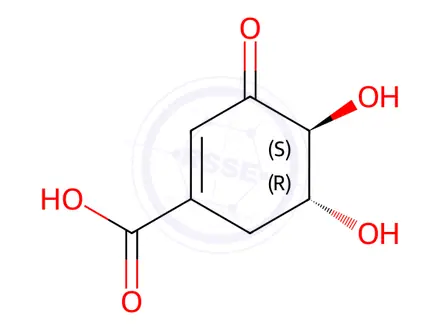 Chemical structure of (-)-3-Dehydroshikimic acid
