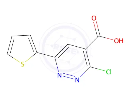 Chemical structure of 3-chloro-6-(thiophen-2-yl)pyridazine-4-carboxylic acid