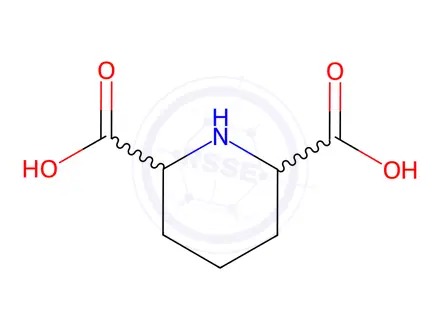 Chemical structure of Piperidine-2,6-dicarboxylic Acid