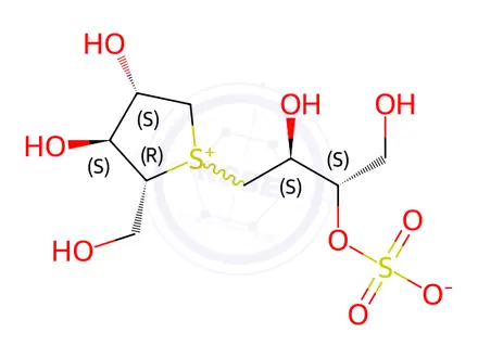 Chemical structure of Salacinol