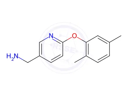 Chemical structure of [6-(2,5-dimethylphenoxy)pyridin-3-yl]methylamine