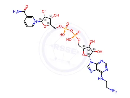 Chemical structure of N6-(2-Aminoethyl)-Nad