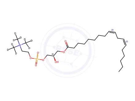 Chemical structure of Lysophosphatidylcholine 18:2-d9