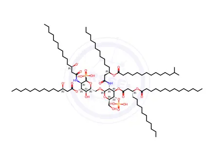 Chemical structure of Lipid A (14:0(5)-iso15:0(1))