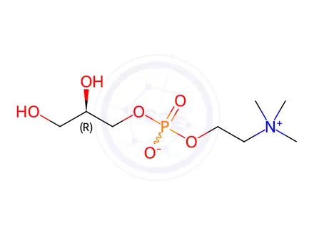Chemical structure of Choline alfoscerate