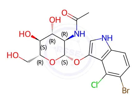 Chemical structure of 5-Bromo-4-chloro-3-indolyl-N-acetyl-b-D-glucosaminide