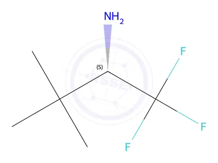 Chemical structure of (S)-1,1,1-Trifluoro-3,3-dimethylbutan-2-amine