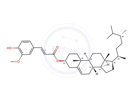Chemical structure of Campesterol ferulate