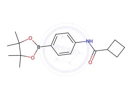 Chemical structure of N-[4-(Tetramethyl-1,3,2-dioxaborolan-2-yl)phenyl]cyclobutanecarboxamide