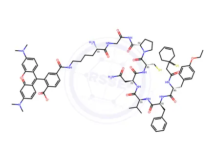 Chemical structure of vasopressin, 1-(beta-mercapto-beta,beta-cyclopentamethylene propionic acid)-(O-ethyl)Tyr(2)-Val(4)-Lys(8)-N(6)-carboxytetramethylrhodamine-
