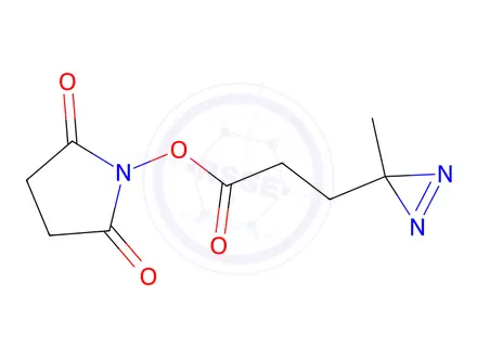 Chemical structure of 2,5-Dioxopyrrolidin-1-yl 3-(3-methyl-3H-diazirin-3-yl)propanoate