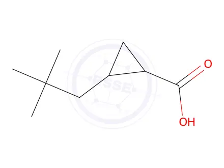 Chemical structure of 2-Neopentylcyclopropane-1-carboxylic acid