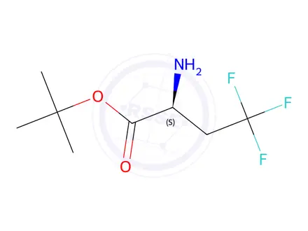 Chemical structure of (S)-2-Amino-4,4,4-trifluoro-butyric acid tert-butyl ester