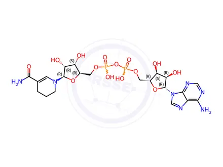 Chemical structure of 1,4,5,6-tetrahydronicotinamide adenine dinucleotide