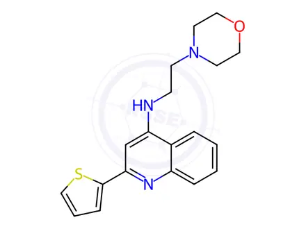 Chemical structure of N-(2-Morpholinoethyl)-2-(thiophen-2-yl)quinolin-4-amine