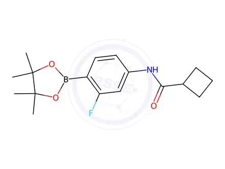 Chemical structure of N-(3-fluoro-4-(4,4,5,5-tetramethyl-1,3,2-dioxaborolan-2-yl)phenyl)cyclobutanecarboxamide