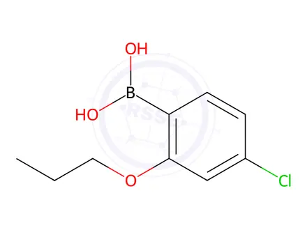 Chemical structure of (4-Chloro-2-propoxyphenyl)boronic acid