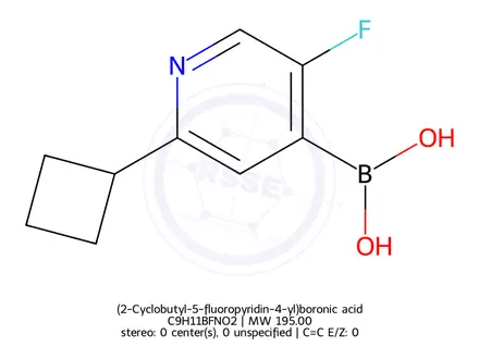 Chemical structure of (2-Cyclobutyl-5-fluoropyridin-4-yl)boronic acid