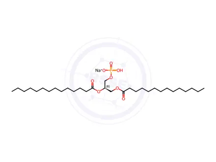 Chemical structure of 14:0 PA