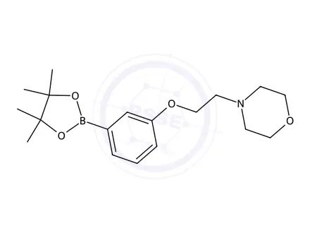 Chemical structure of 4-(2-(3-(4,4,5,5-Tetramethyl-1,3,2-dioxaborolan-2-yl)phenoxy)ethyl)morpholine