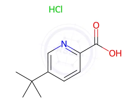 Chemical structure of 5-(tert-butyl)pyridine-2-carboxylic acid hydrochloride