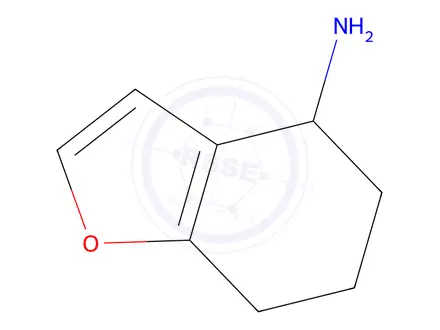 Chemical structure of 4,5,6,7-tetrahydro-1-benzofuran-4-amine