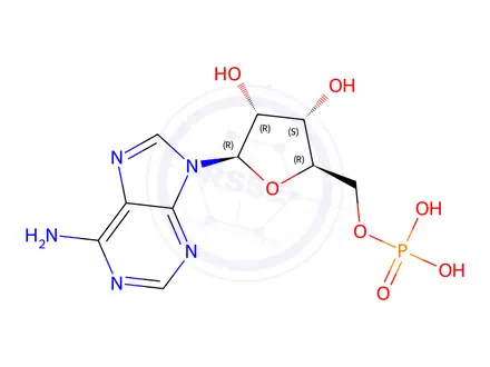Chemical structure of 5'-Adenylic Acid