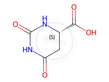 Chemical structure of L-Dihydroorotic acid